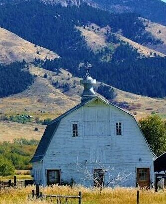 Tranquil Montana countryside featuring a white barn with stunning mountain backdrop.